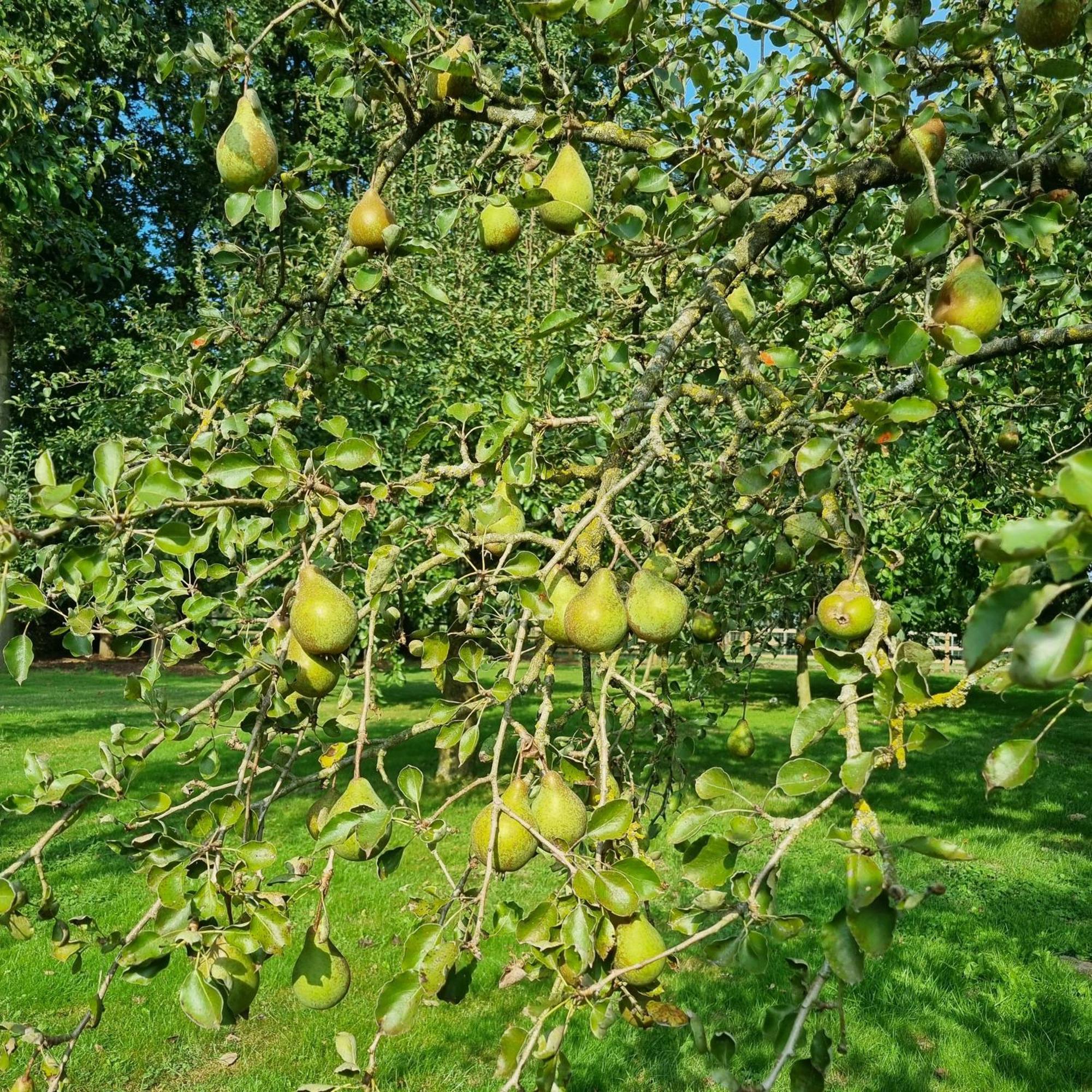 B&B Doraki Oldebroek Bagian luar foto